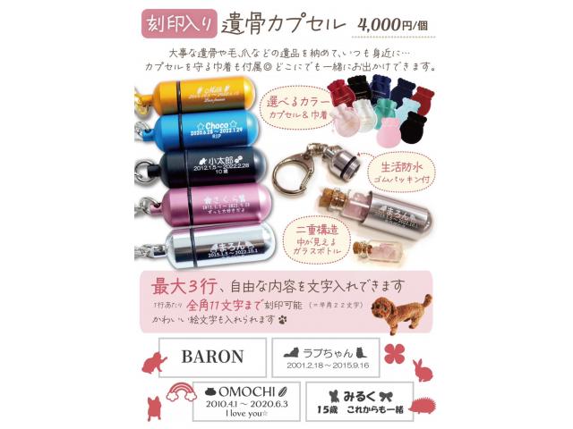 【静岡市内限定】【小動物限定】刻印カプセルセット