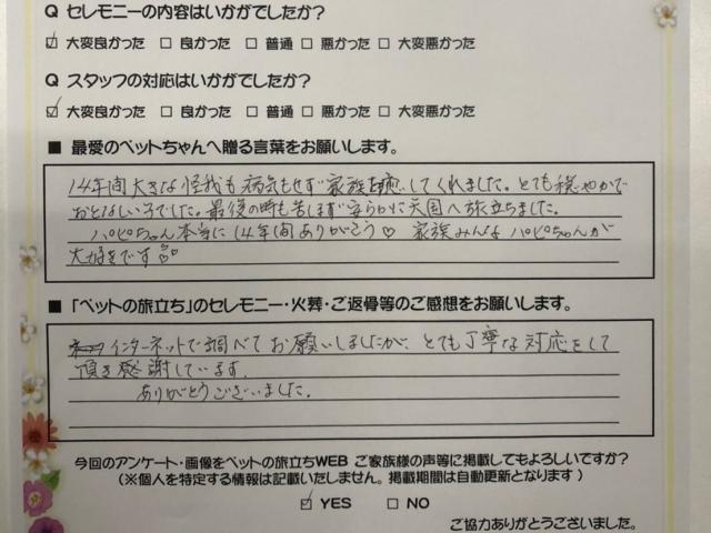 ご家族様の声 ペットの旅立ち 24時間電話 ネット予約ができる ペット訪問火葬