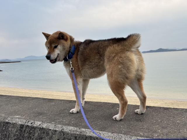 2025/06/01 K様