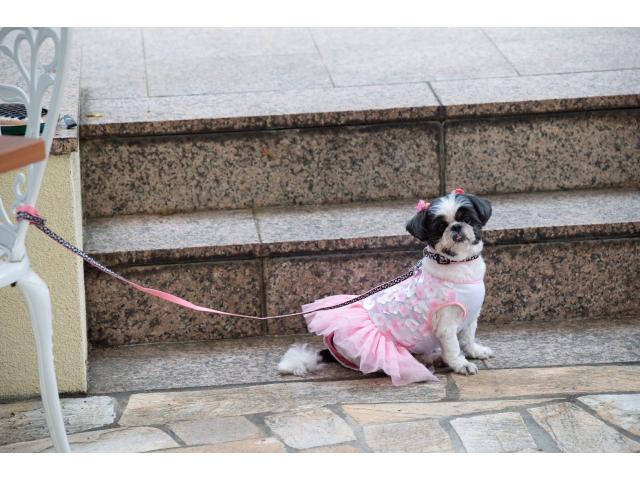 2025/06/15 S様