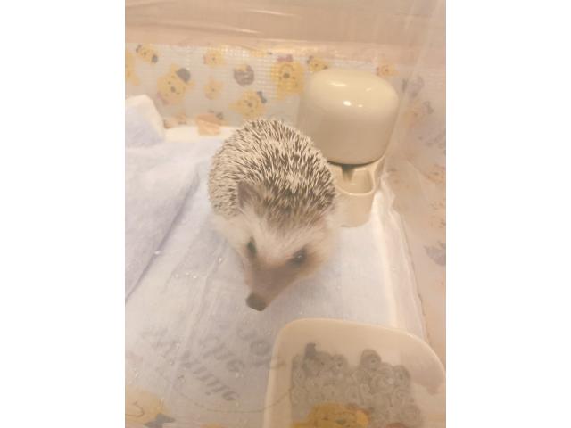 2025/07/11 N様
