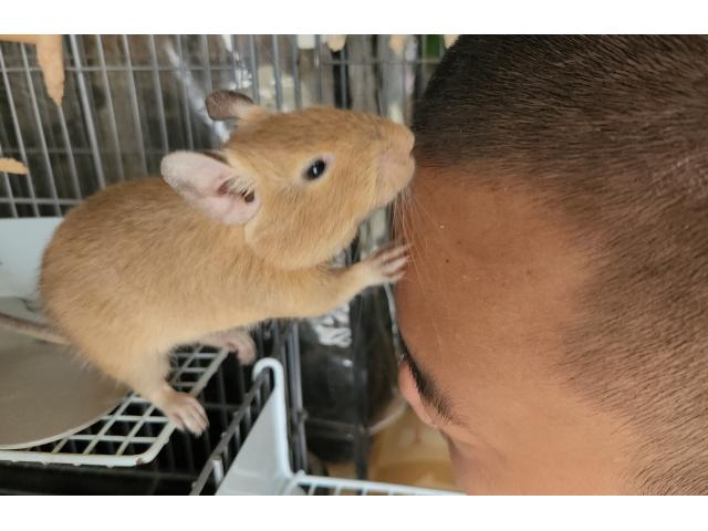 2025/08/10 T様