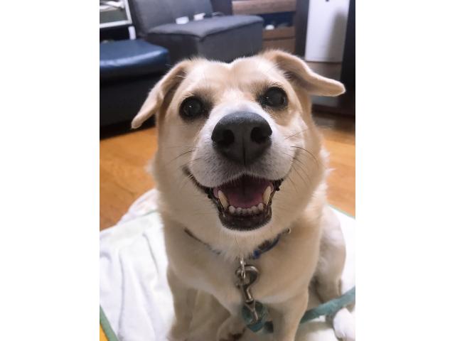 2025/08/18 М様