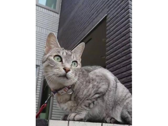 2025/07/27 Y様