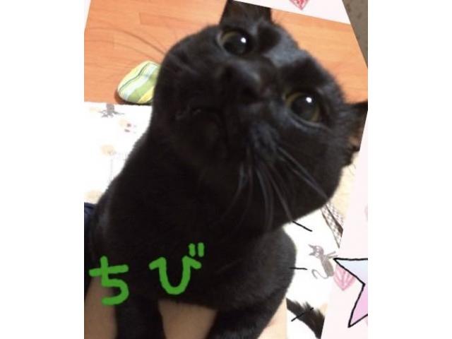 2025/09/10 S様