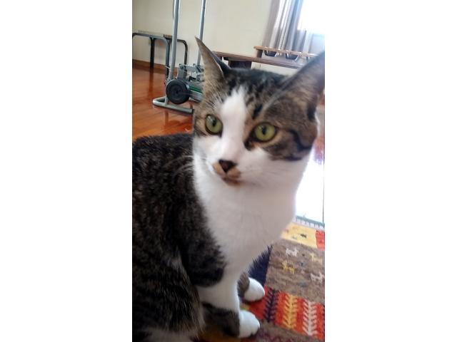 2025/09/12 T様
