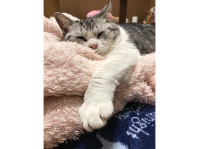 2025/09/17 O様