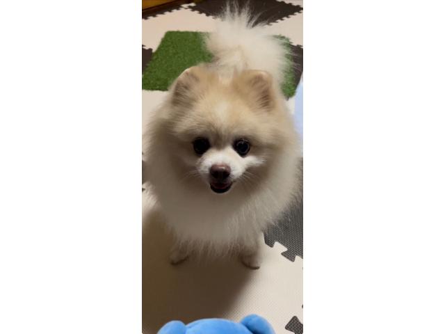 横須賀店の2025/10/02 T様