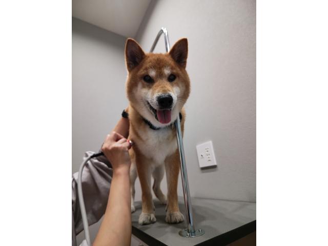 2025/10/15 O様