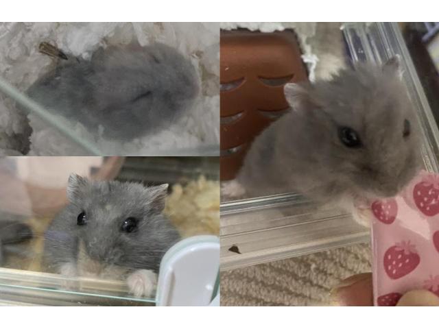 2025/10/17 K様