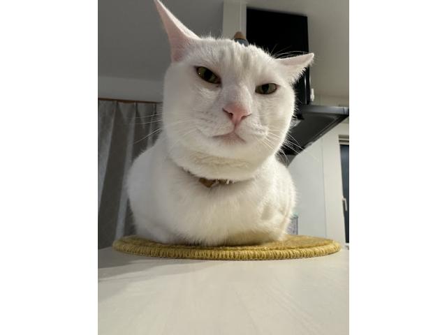 碧南店の2025/11/10 T様