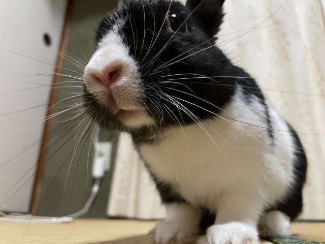 横須賀店の2025/11/17 T様