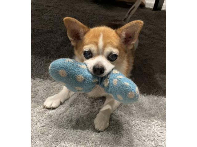 札幌清田店の2025/12/07 K様