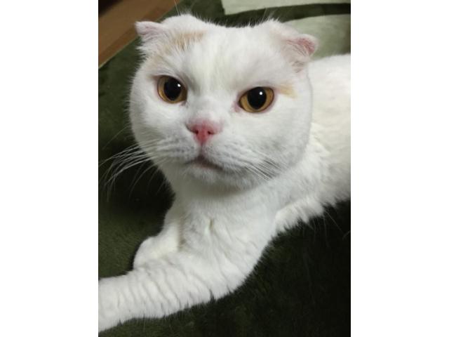 2026/05/12 Y様