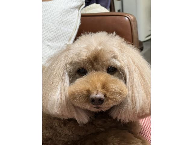 2026/06/04 A様