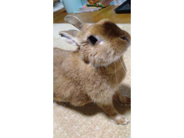 2026/06/27 S様