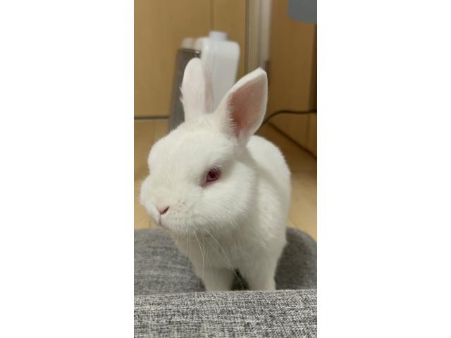 2026/07/14 K様