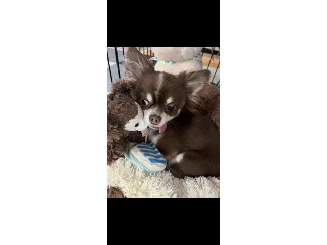 2026/07/15 N様