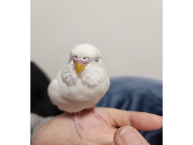 2026/08/12 O様
