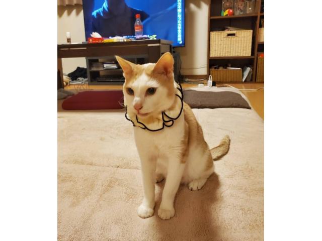 2026/08/19 O様