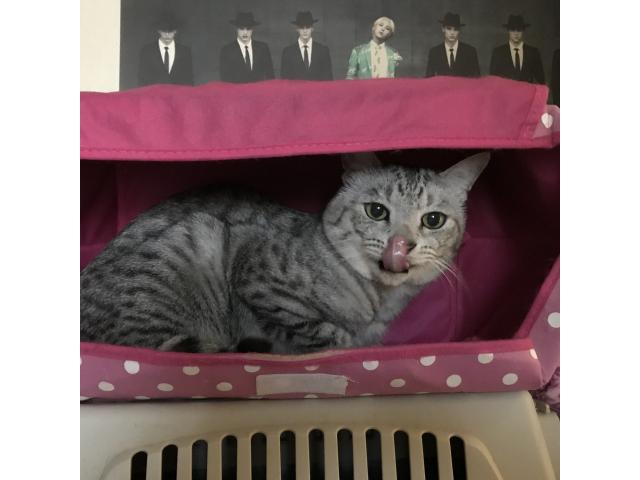 2026/08/25 S様