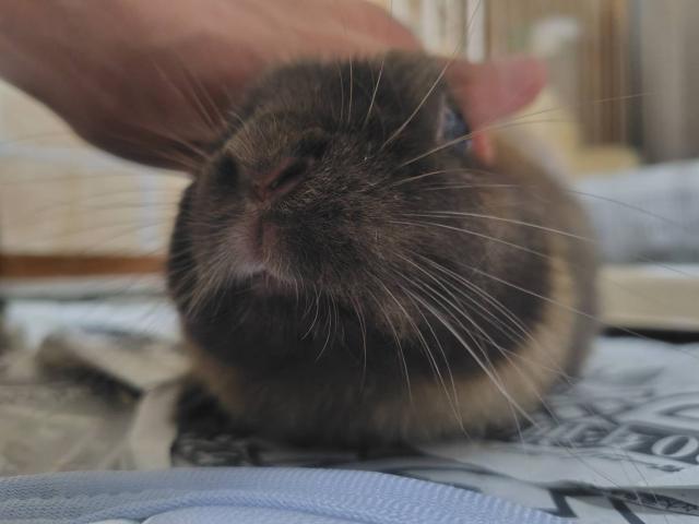 2026/08/28 S様