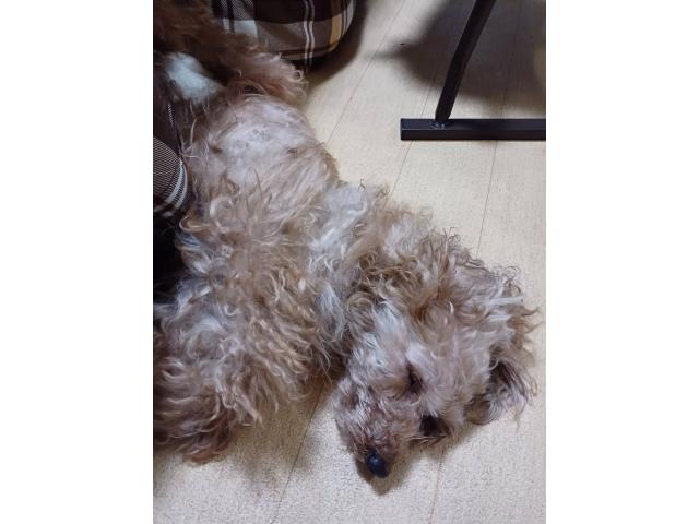 2026/08/29 A様