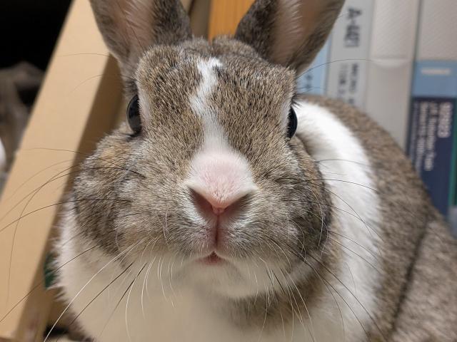 2026/09/05 A様