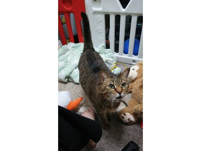 2026/09/07 K様