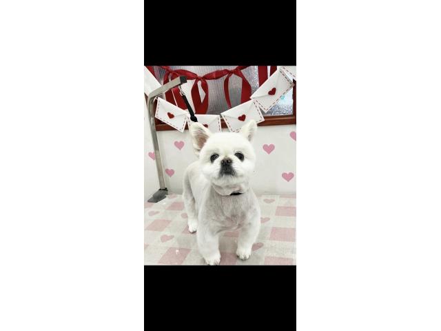 2026/09/14 Y様
