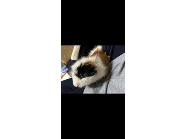 2026/09/24 S様
