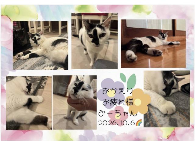 2026/10/08 O様