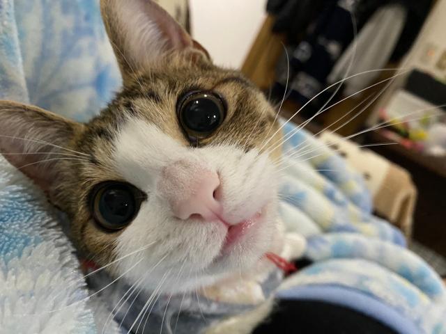 2026/10/08 K様