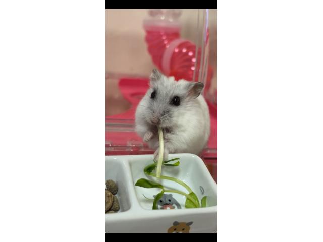 2026/10/08 A様