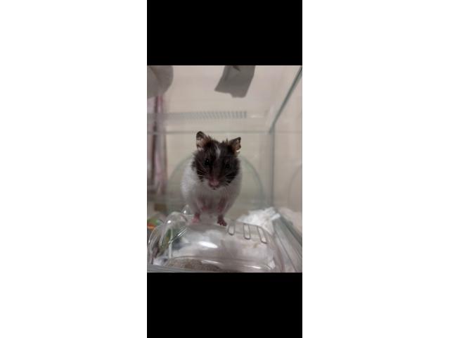 2026/10/08 A様