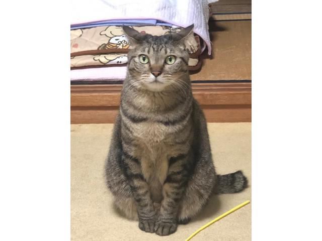 りくちゃん
