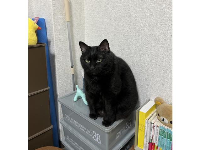 くぅちゃん