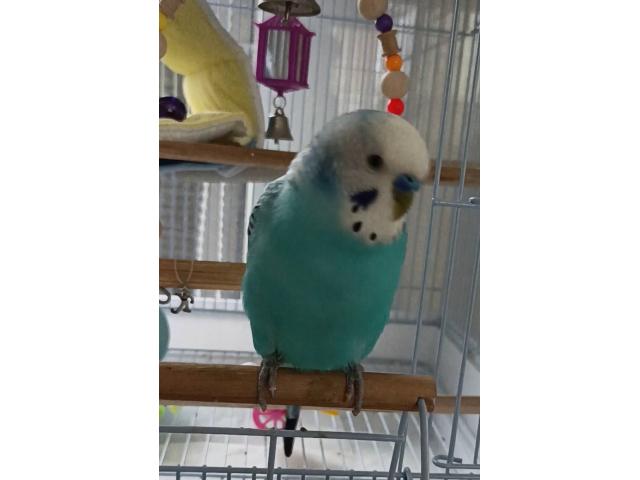 くぅちゃんちゃん