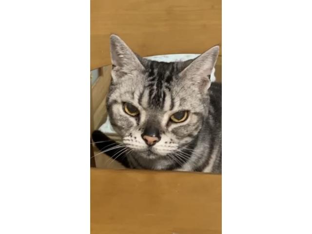 ミナコちゃん