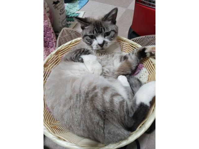 ぽちちゃん