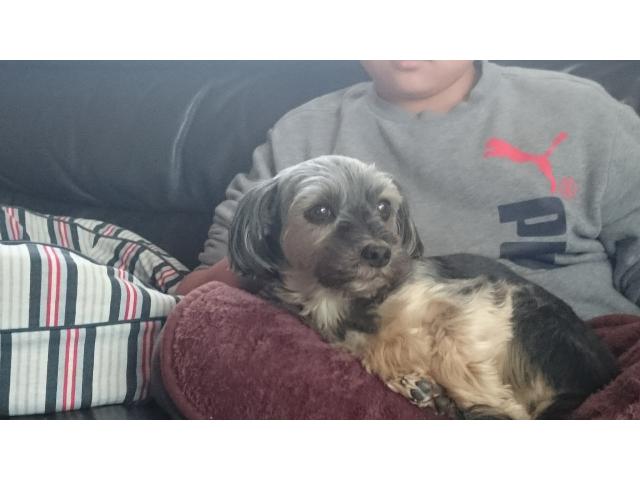 うーちゃんちゃん