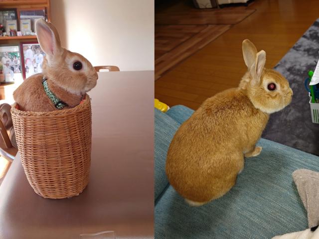 じゃじゃ。ちゃん