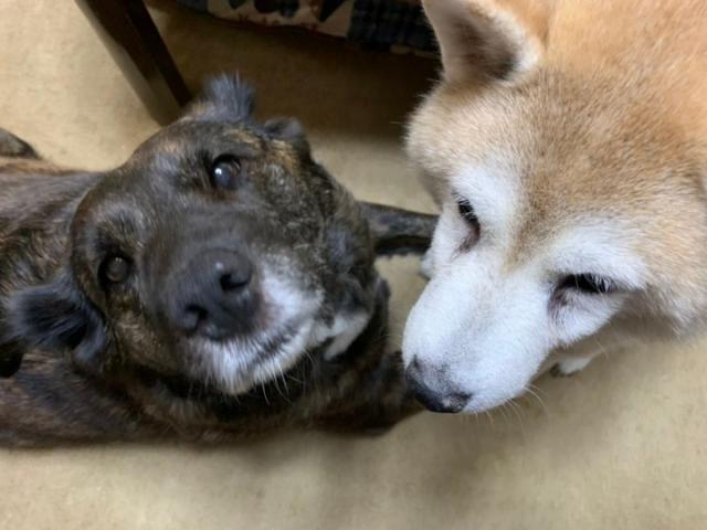 モーリーちゃん