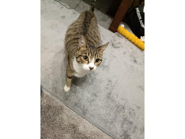 ろくちゃん