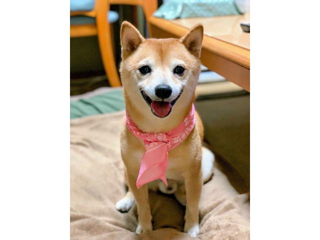 まめろうちゃん
