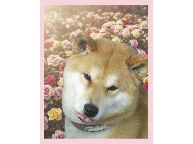 まりちゃん