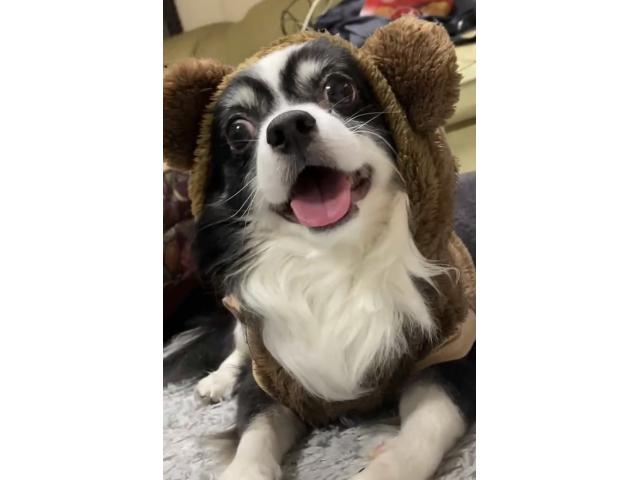蓮ちゃん