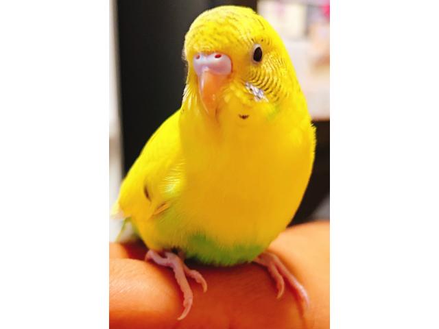 エリーちゃん
