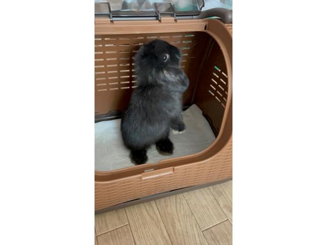 はるちゃん