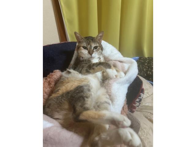 あーちゃん